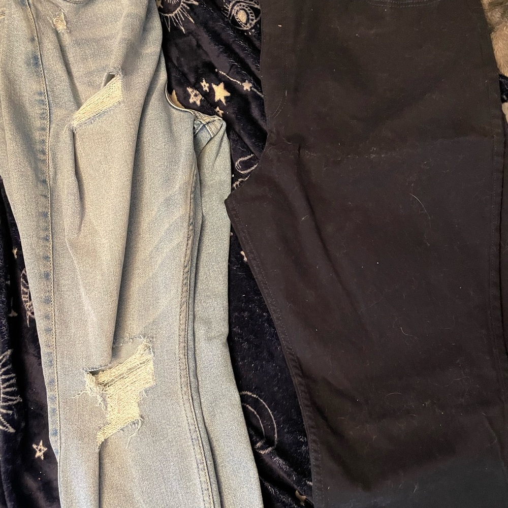 Size 13 Hollister pants